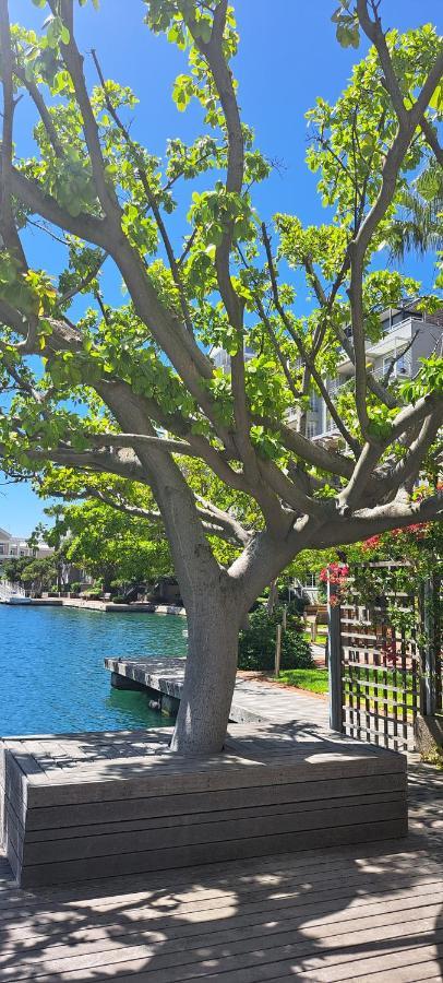 V&A Waterfront Marina Family Apartment 101 Altmore Cape Town Luaran gambar